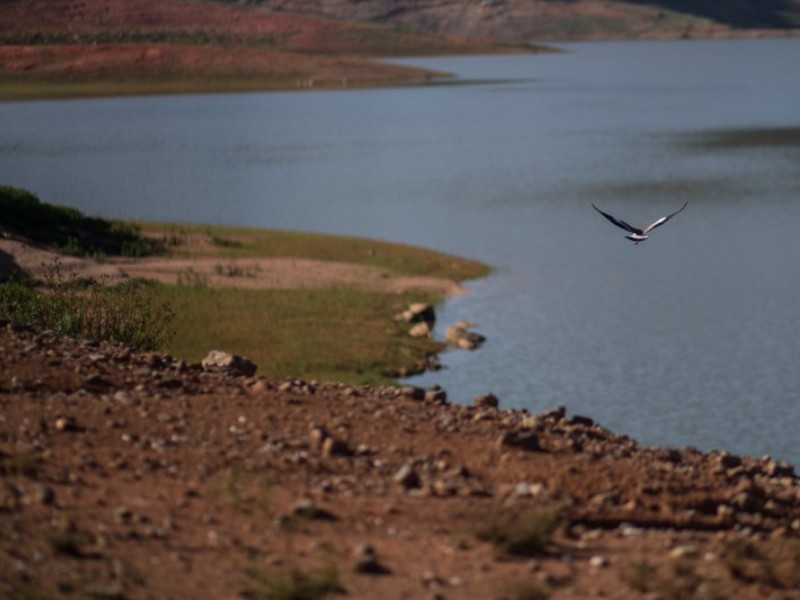 A importância do Geólogo na gestão ambiental