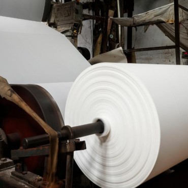 Indústria de Celulose