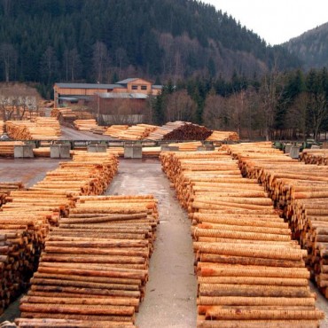 Indústria de Madeireiras