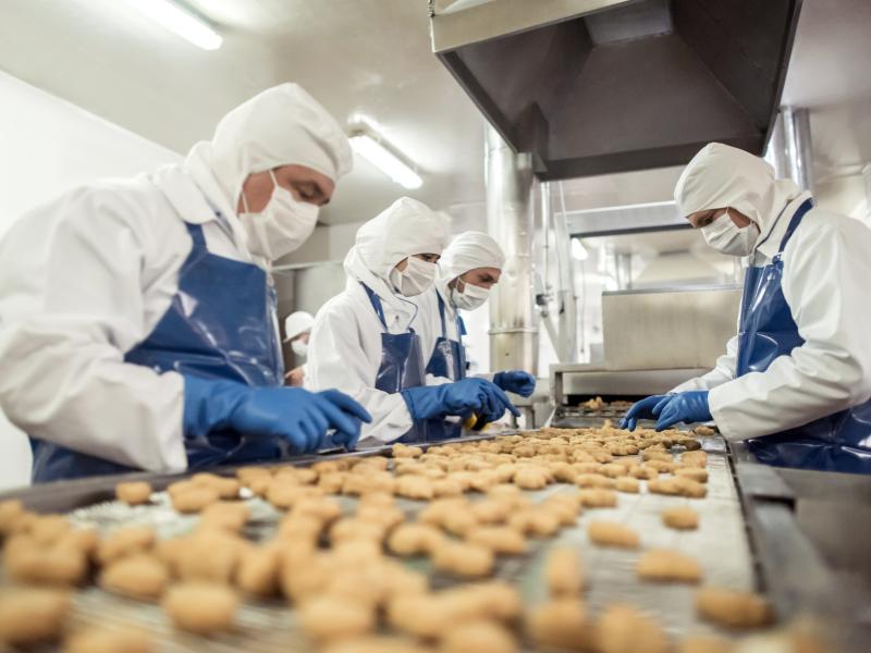Indústria Alimentícia