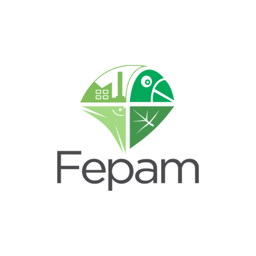 FEPAM